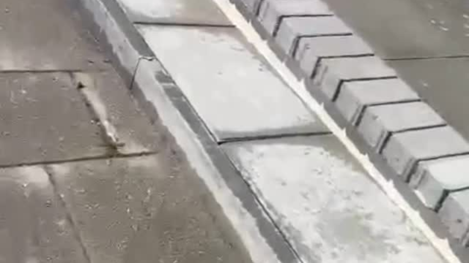 SaveClip.App_495742416_1049562373769853_281854195745921532_n